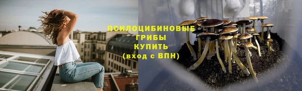 а пвп мука Кинешма