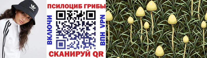 Галлюциногенные грибы мухоморы  где найти наркотики  Кемь 