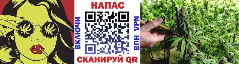 Конопля тримм купить закладку Кемь